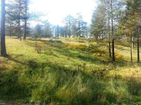 Prodaja, dvosoban stan, 39m², Divčibare, Valjevo - image 8