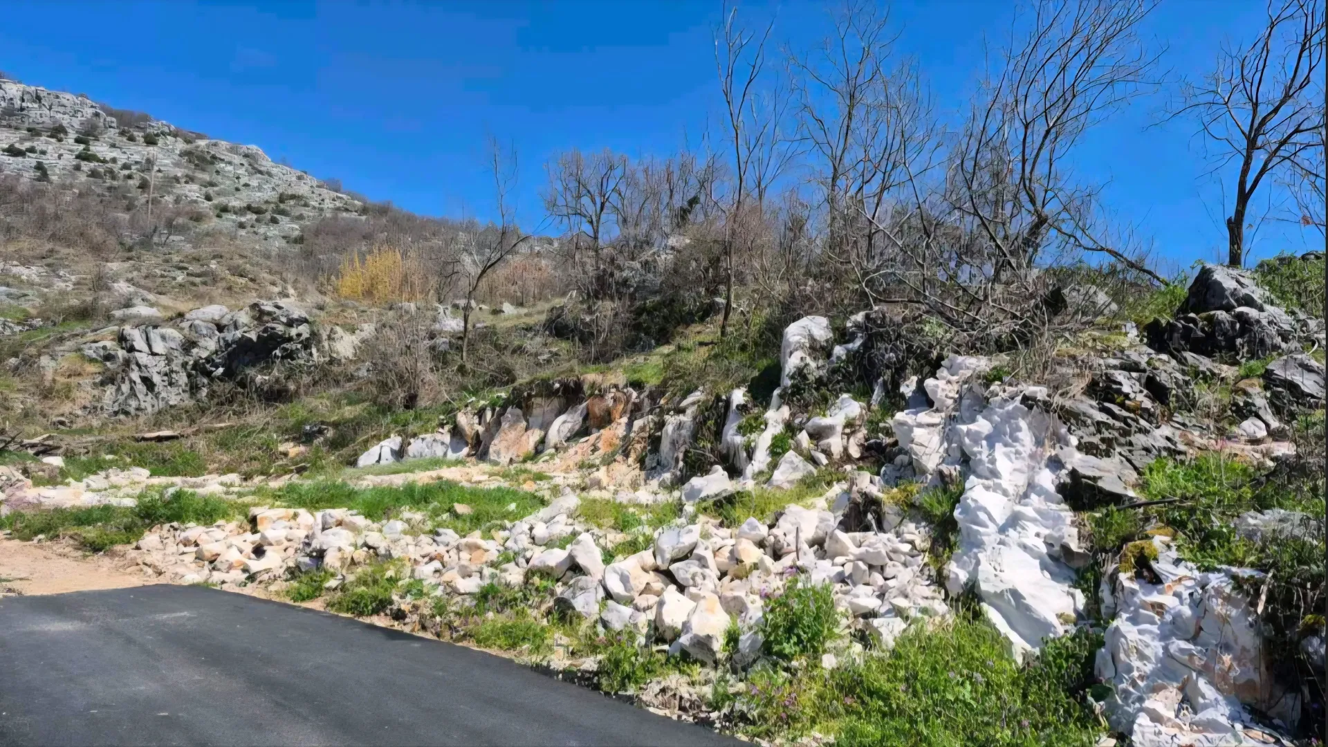 Prodaja, plac, 461m², Bajice, Cetinje
