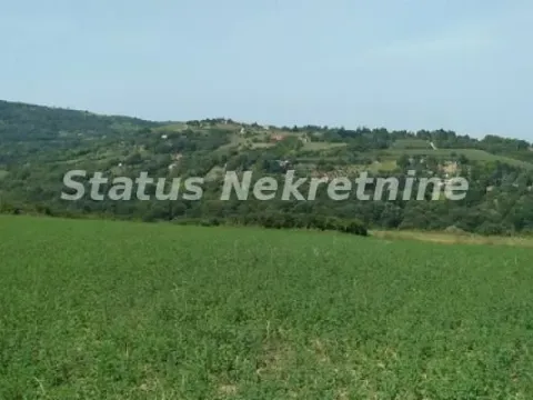 Prodaja, plac, 7600m², Ledinci, Petrovaradin - image 3
