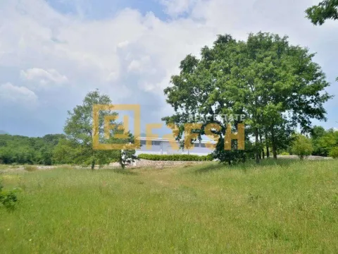 Prodaja, plac, 33000m², Ostalo, Podgorica - image 3