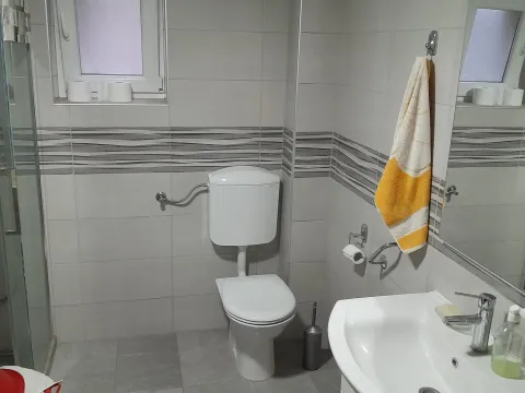 Sale, house, 214m², Veternik, Novi Sad Sve Podlokacije - image 10