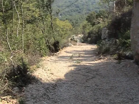 Prodaja, plac, 13750m², Utjeha, Bar - image 3