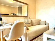 Izdavanje, stan, 30m², Tuški Put, Podgorica - image 4