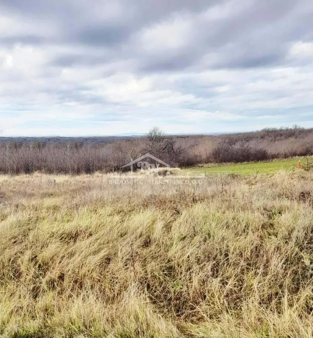 Prodaja, plac, 6653m², Sremčica, Beograd