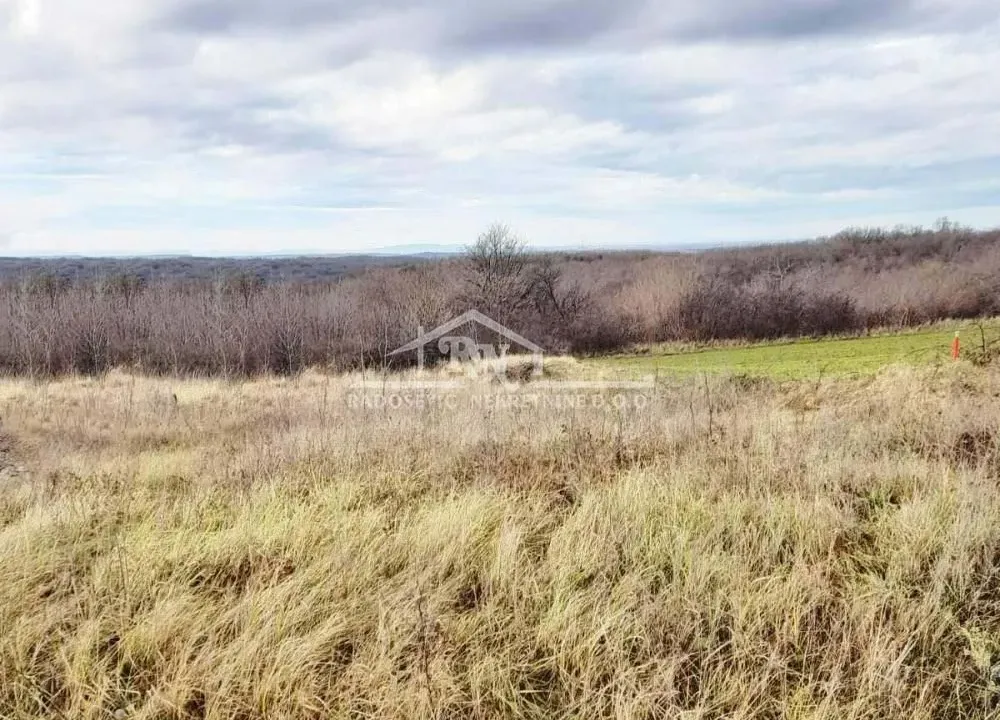 Prodaja, plac, 6653m², Sremčica, Beograd