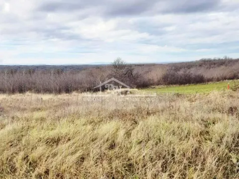 Prodaja, plac, 6653m², Sremčica, Beograd - image 1