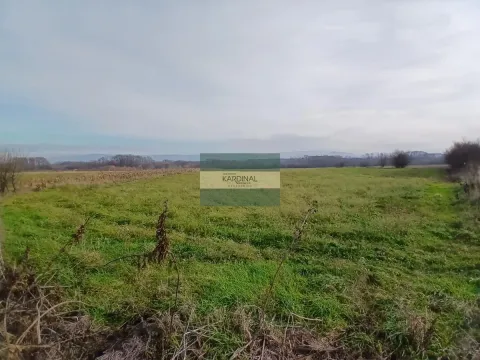 Sale, office space, 723m², Veliki Popović, Despotovac - image 35