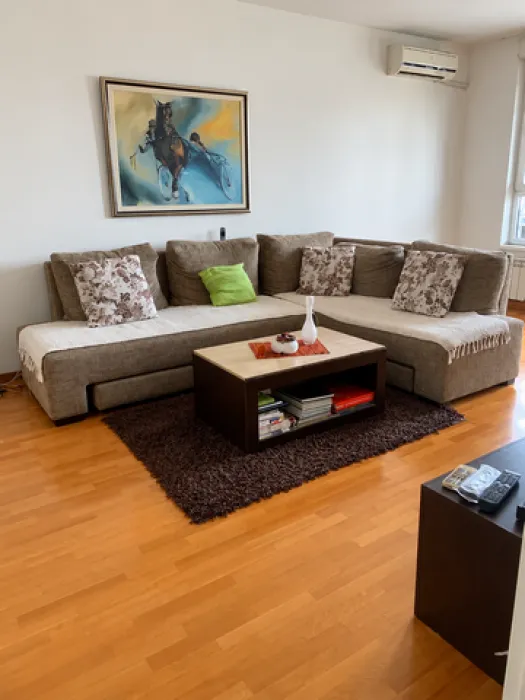 Living room with a corner sofa, coffee table, and a painting on the wall.