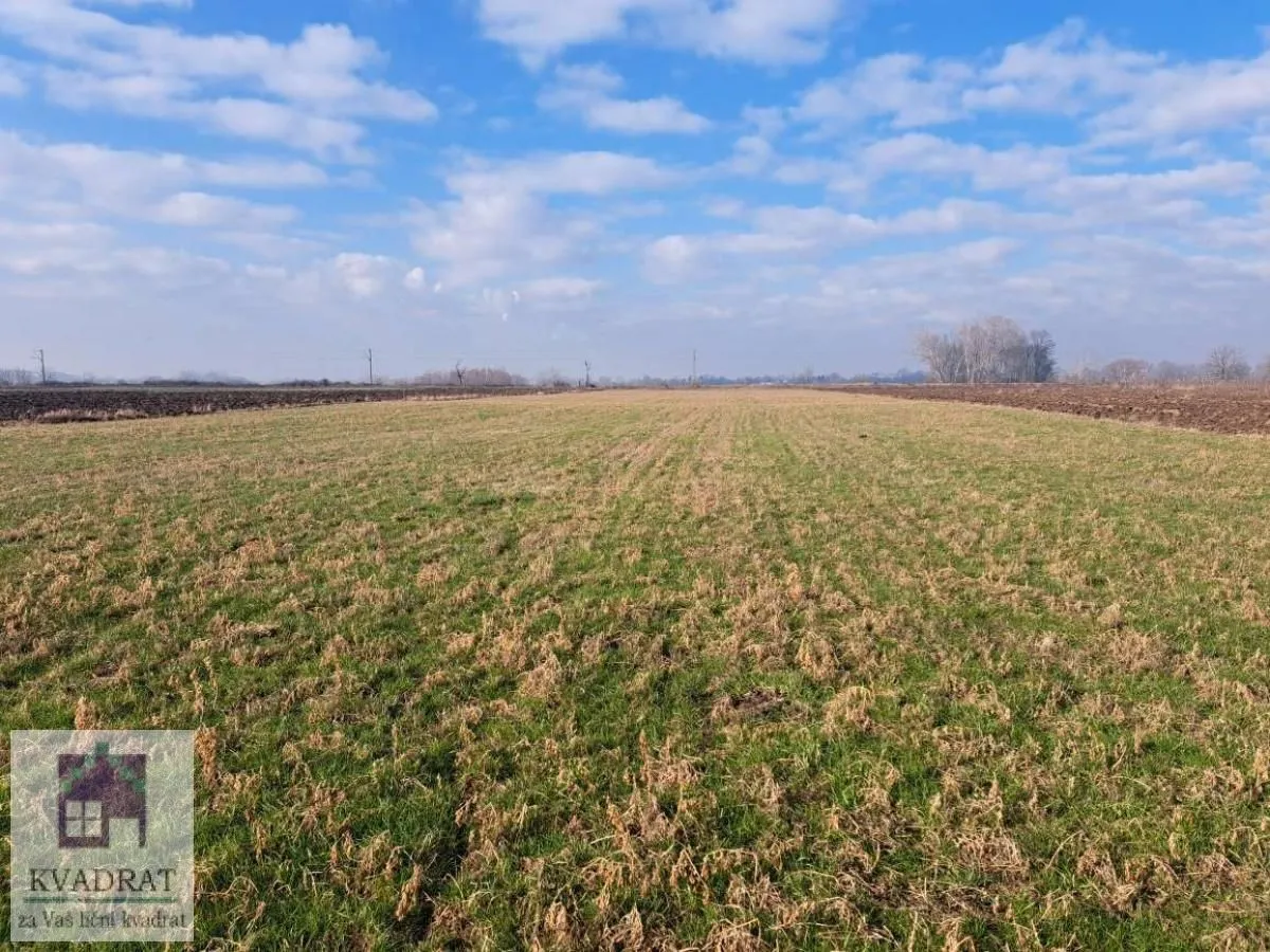 Prodaja, plac, 6500m², Zvečka, Obrenovac