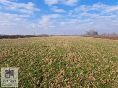 Prodaja, plac, 6500m², Zvečka, Obrenovac - image 6