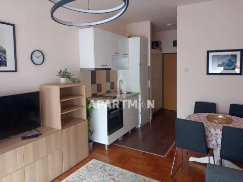 Izdavanje, stan, 25m², Vukov Spomenik, Zvezdara Sve Podlokacije