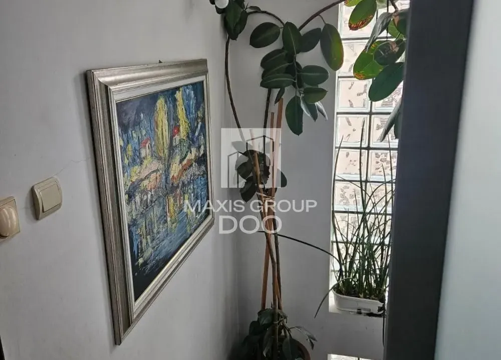 Izdavanje, kuća, 146m², Olimp, Zvezdara Sve Podlokacije