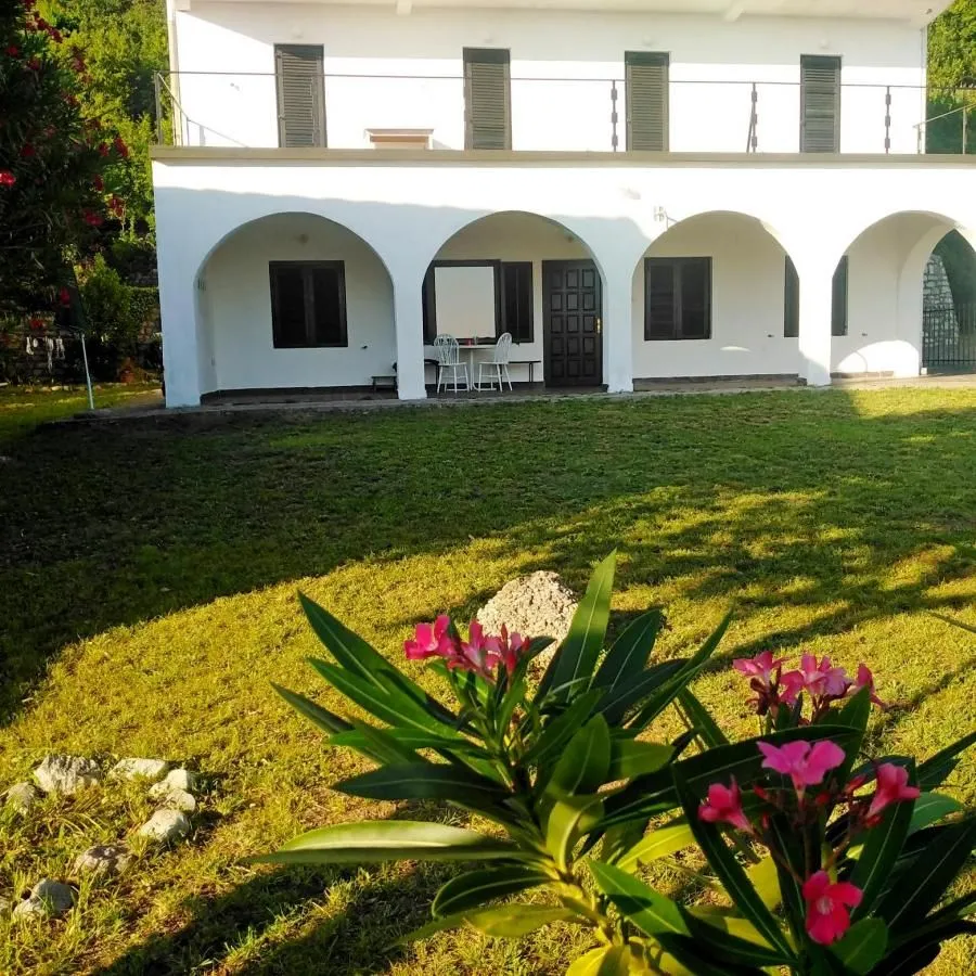 Prodaja, ugostiteljski objekat, 480m², Petrovac, Budva