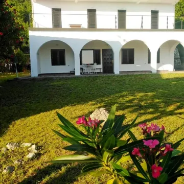 Prodaja, ugostiteljski objekat, 480m², Petrovac, Budva - image 4