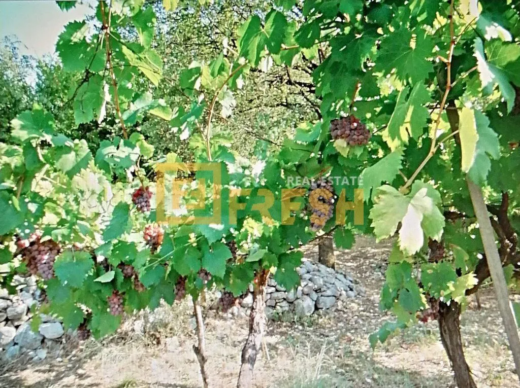 Prodaja, plac, 2580m², Ostalo, Podgorica