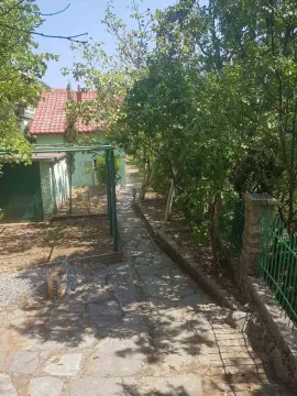 A paved walkway in the yard of a house surrounded by greenery and trees. - image 5