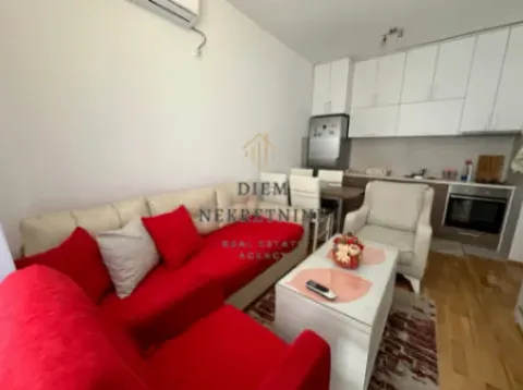 Izdavanje, jednosoban stan, 32m², Stari Aerodrom, Podgorica - image 3