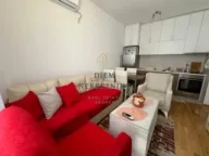 Izdavanje, jednosoban stan, 32m², Stari Aerodrom, Podgorica - image 3