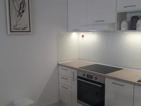 Izdavanje, jednosoban stan, 52m², Master Kvart, Podgorica - image 13