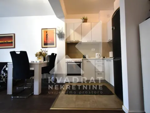 Izdavanje, jednosoban stan, 48m², Vezirov Most, Podgorica - image 4