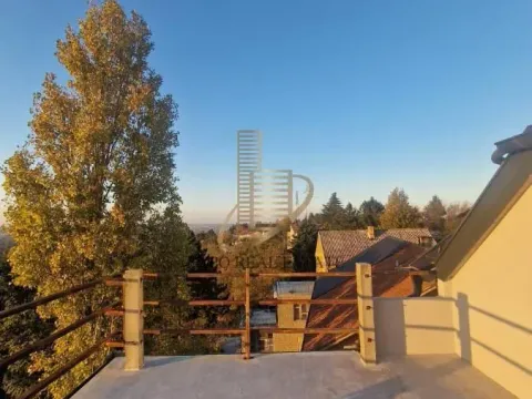 Prodaja, kuća, 550m², Sremska Kamenica, Petrovaradin - image 3