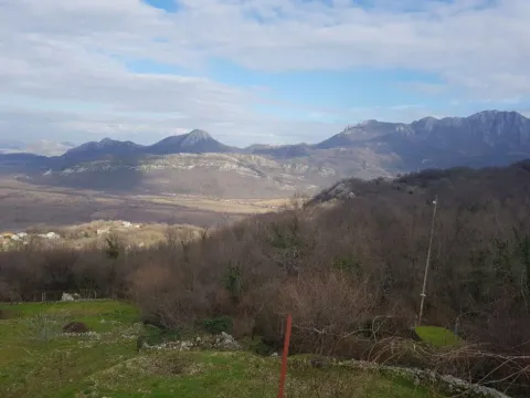 Sale, land lot, 50000m², Crmnica, Bar - image 5