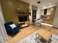 Rent, one bedroom apartment, 46m², Vezirov Most, Podgorica - image 1