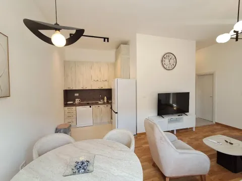 Rent, one bedroom apartment, 44m², Zabjelo, Podgorica - image 6