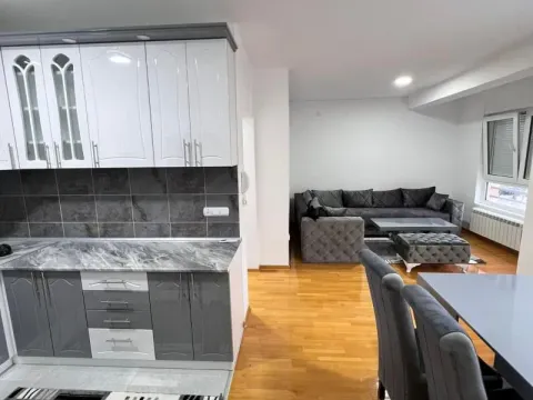 Izdavanje, dvosoban stan, 55m², Karaburma, Palilula Sve Podlokacije - image 15