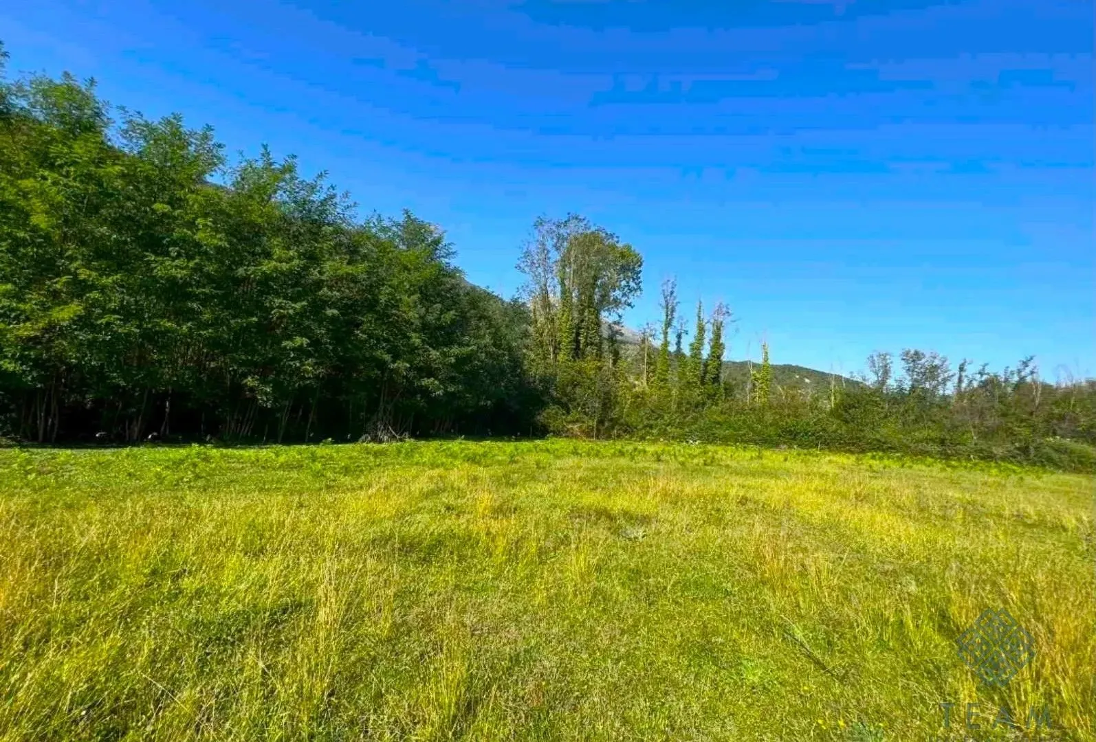 Prodaja, plac, 5181m², Ćurilac, Danilovgrad