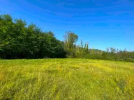 Prodaja, plac, 5181m², Ćurilac, Danilovgrad - image 6