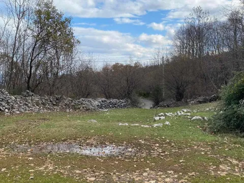 Prodaja, plac, 75000m², Zagreda, Danilovgrad - image 7