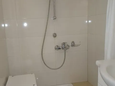Rent, one bedroom apartment, 31m², Lion, Zvezdara Sve Podlokacije - image 20