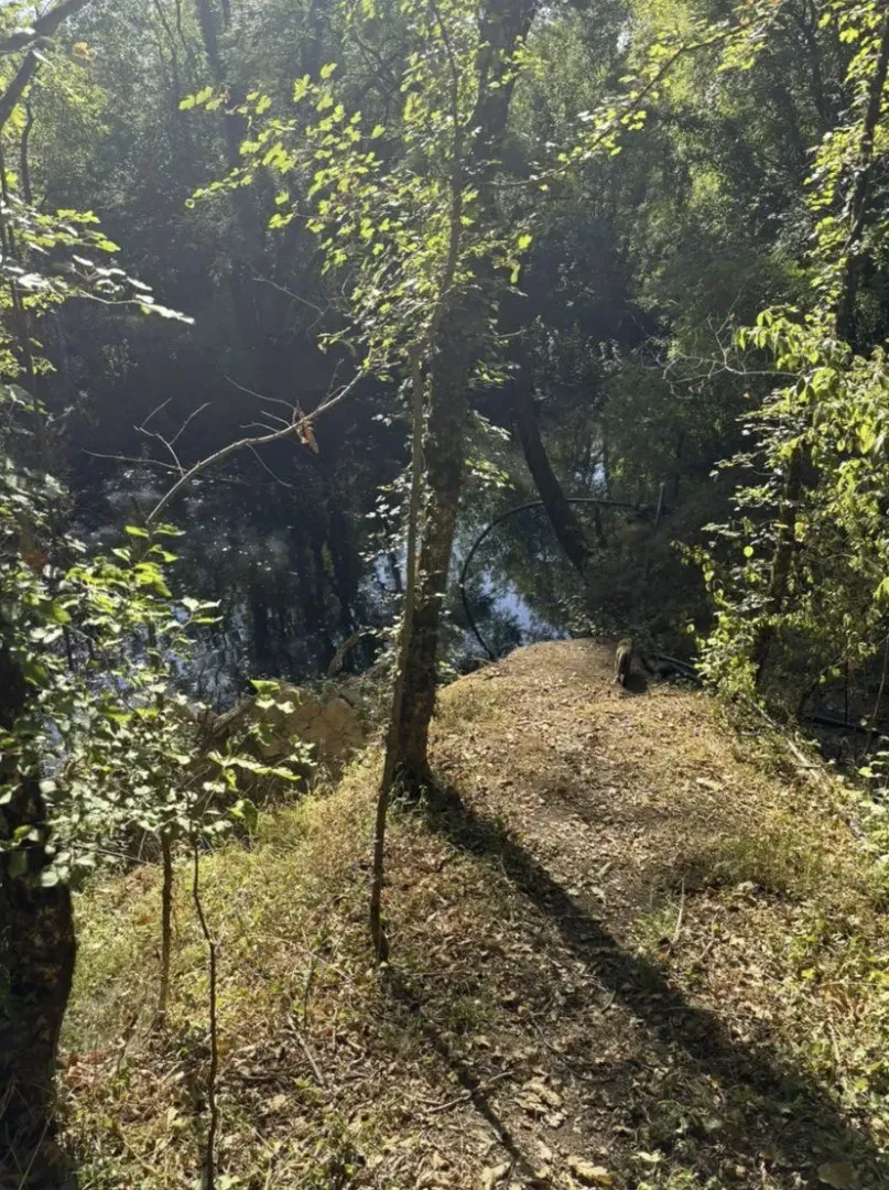 Šumoviti dio zemljišta sa pogledom na rijeku.