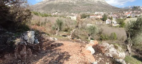 Pogled na zemljište sa rastinjem i kamenjarom u prirodi. - image 6