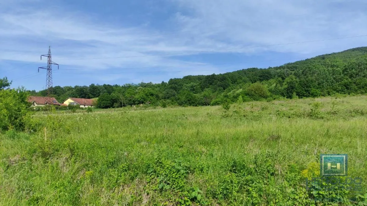 Prodaja, plac, 216600m², Resavica (varošica), Despotovac