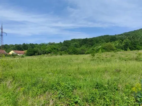 Prodaja, plac, 2166m², Resavica (varošica), Despotovac - image 2