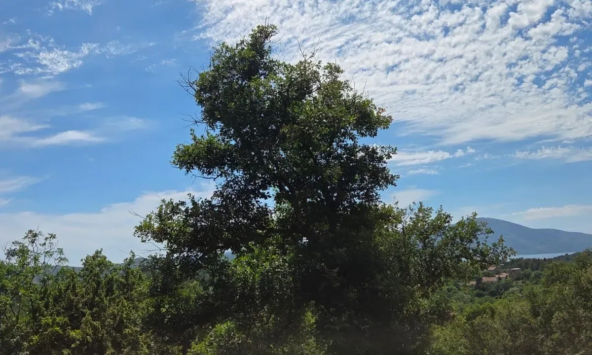 Sale, land lot, 10850m², Kavač, Kotor