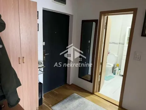 Izdavanje, dvosoban stan, 52m², Južni Bulevar, Vračar Sve Podlokacije - image 10