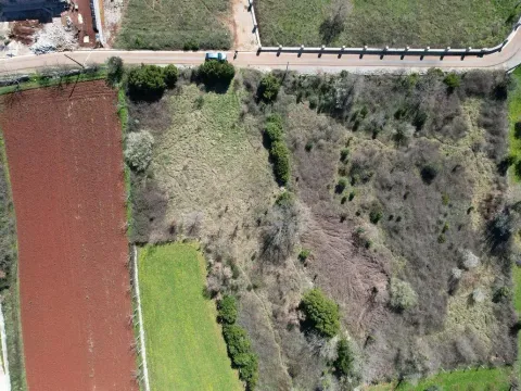 Prodaja, plac, 3520m², Krimovica, Kotor - image 4