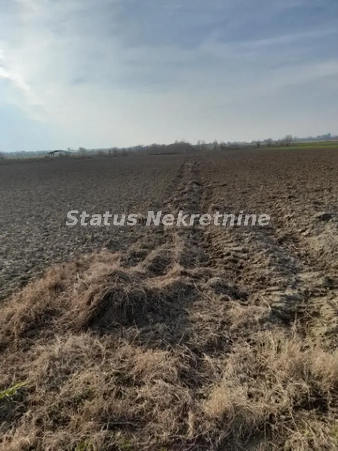 Prodaja, plac, 4400m², Futog, Novi Sad Sve Podlokacije