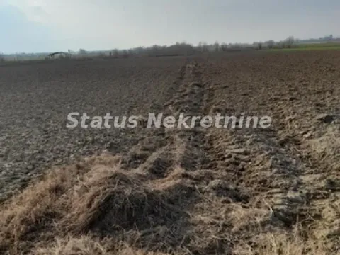 Sale, land lot, 4400m², Futog, Novi Sad Sve Podlokacije - image 2