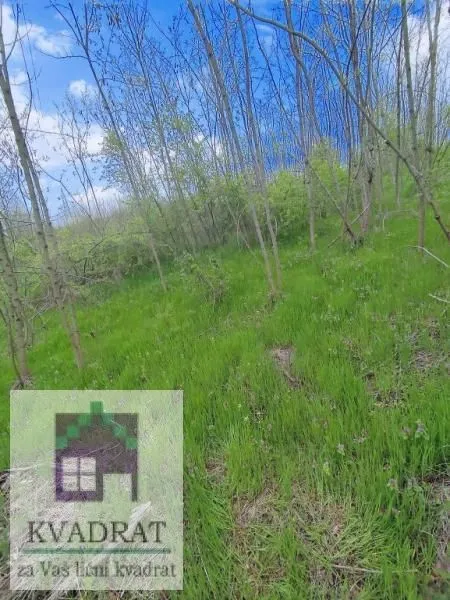 Prodaja, plac, 7000m², Mislodjin, Obrenovac