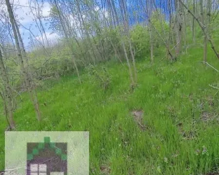 Sale, land lot, 7000m², Mislodjin, Obrenovac - image 3