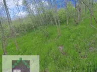 Prodaja, plac, 70m², Mislodjin, Obrenovac - image 3