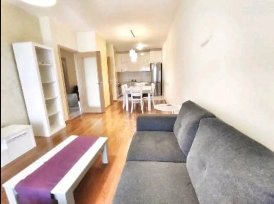 Izdavanje, jednosoban stan, 52m², Blok 6, Podgorica