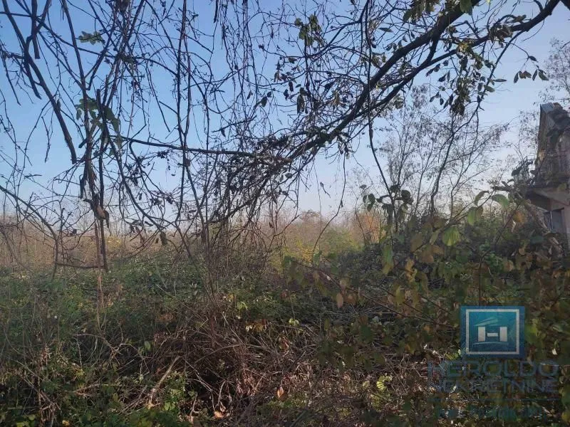 Prodaja, plac, 8100m², Jagodina, Srbija