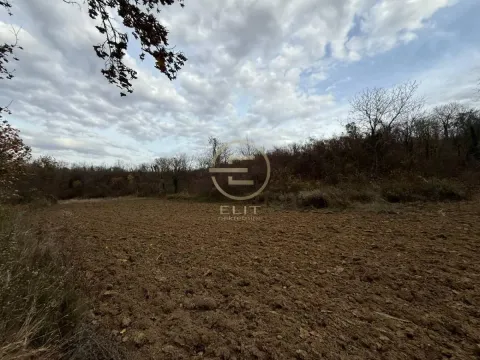 Sale, land lot, 24207m², Beočin, Srbija - image 18