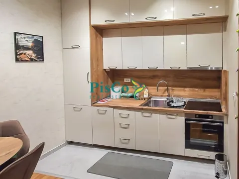 Izdavanje, jednosoban stan, 34m², Tološi, Podgorica - image 4