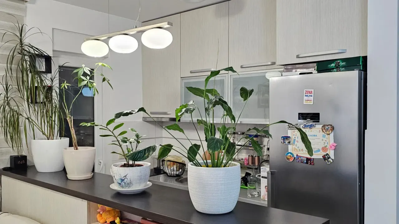 Prodaja, dvosoban stan, 56m², Stari Aerodrom, Podgorica